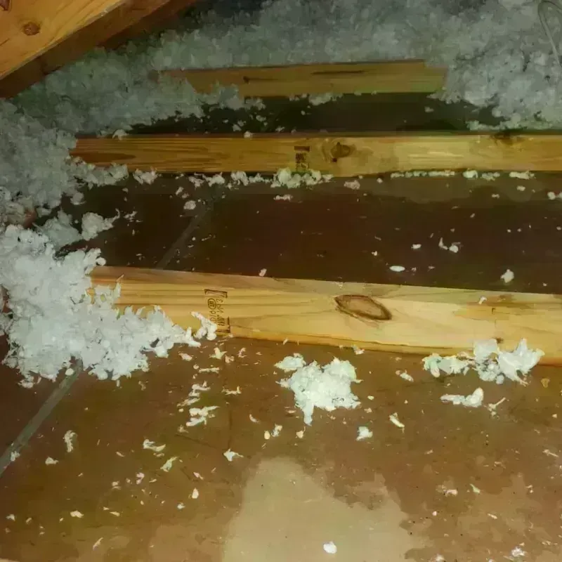 Attic Water Damage in Orange, CA