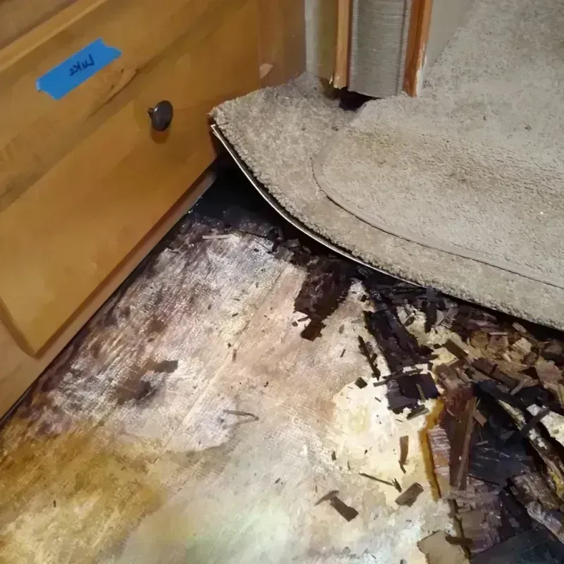 Wood Floor Water Damage in Orange, CA